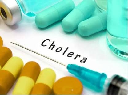 Cholera Outbreak Worsens in Borno as 274 New Cases Emerge in 24 Hours, Toll Rises to 4,204