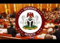 Senate Begins Constitutional Moves for State Police Amid Rising Insecurity
