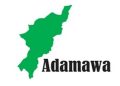 Four NYSC Members, Soldier Killed in Adamawa Auto Crash