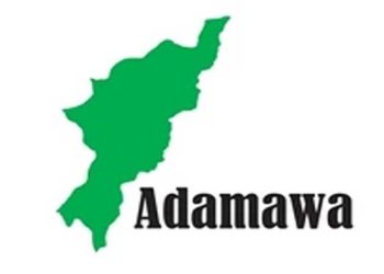 Four NYSC Members, Soldier Killed in Adamawa Auto Crash