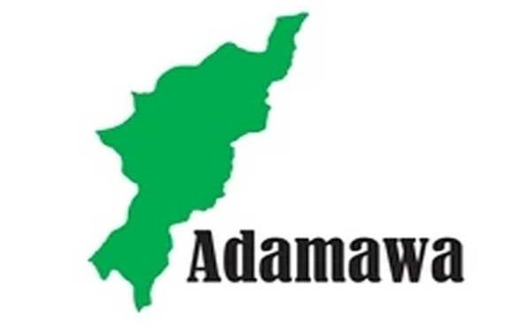 Four NYSC Members, Soldier Killed in Adamawa Auto Crash