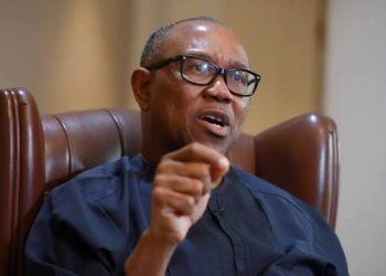Peter Obi Decries Ethnic Profiling, Says Crime Has No Tribal Identity