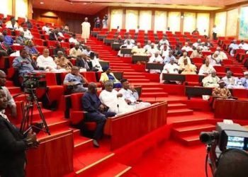 Senate to Consider Six-Year Single Term for President, Governors – Bamidele