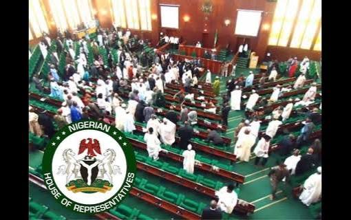 Reps Rule Out Ugochinyere’s Bid for Minority Leader, Define Legislative Experience
