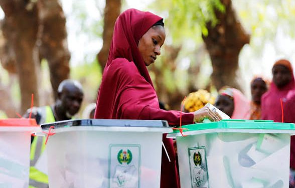 Declining Voter Turnout Reflects Deep Trust Crisis in Nigeria’s Democracy – Adeniyi