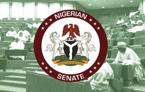 Senate Clears Customs of ₦62.2bn Audit Query, Sets Up Panel to Review Remaining Allegations 