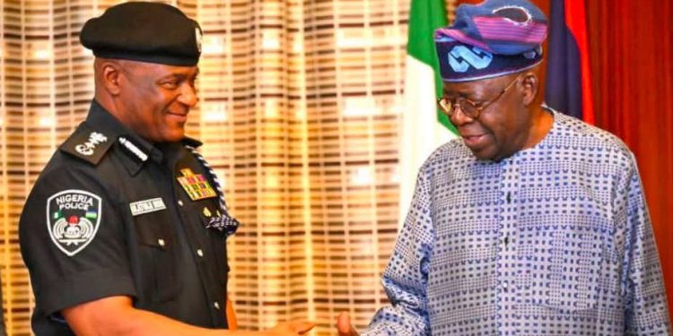 There Will Be No State Police in Abuja, Tinubu Govt Says