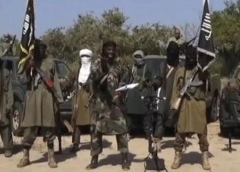 Six ISWAP Fighters Surrender to Military in Borno