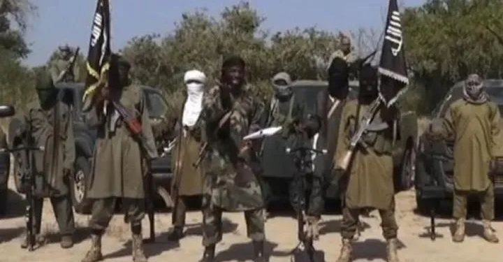 Six ISWAP Fighters Surrender to Military in Borno