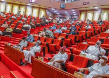 Senate Threatens Sanctions Against MDAs, GOEs over Oversight Invitation Snub