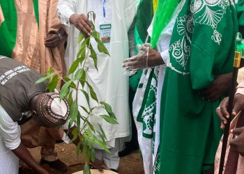 FG Launches 2026 Tree Planting Campaign in Kano, Urges States to Intensify Fight Against Desertification