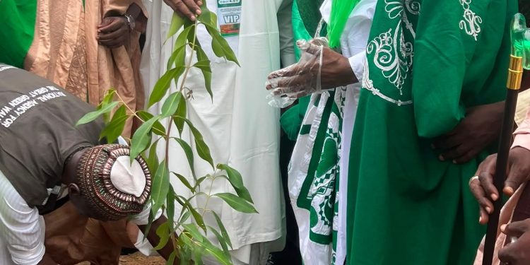 FG Launches 2026 Tree Planting Campaign in Kano, Urges States to Intensify Fight Against Desertification