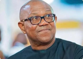 Obi Decries Fresh Benue, Plateau Killings, Demands Stronger Security Response