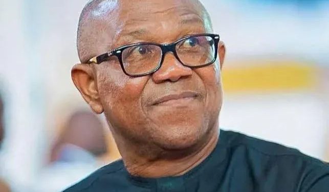 Obi Decries Fresh Benue, Plateau Killings, Demands Stronger Security Response