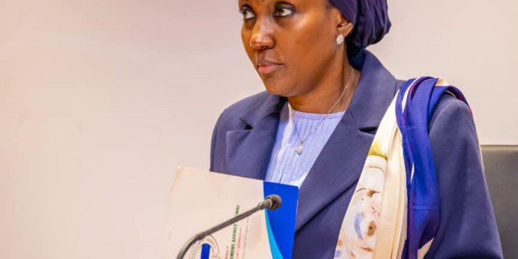 NEMA to Lead Nigeria’s Humanitarian Response as UN Shifts to Support Role
