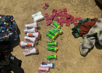 Troops Arrest Pregnant Woman ‘Conveying Essentials to Terrorists’ in Borno