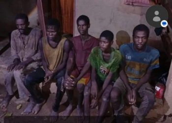Troops Rescue 13 Kidnap Victims, Foil Attacks in Zamfara, Edo