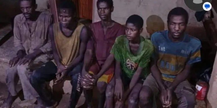 Troops Rescue 13 Kidnap Victims, Foil Attacks in Zamfara, Edo