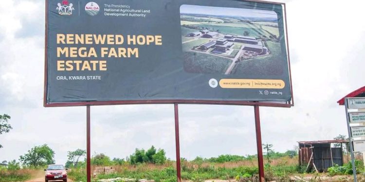 Nigerian Govt Establishes Renewed Hope Mega Farms in 4 States