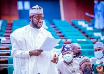 JUST IN: Reps Order IG to Produce ‘Fake, Agency DG Adeyemi Within 48 Hours