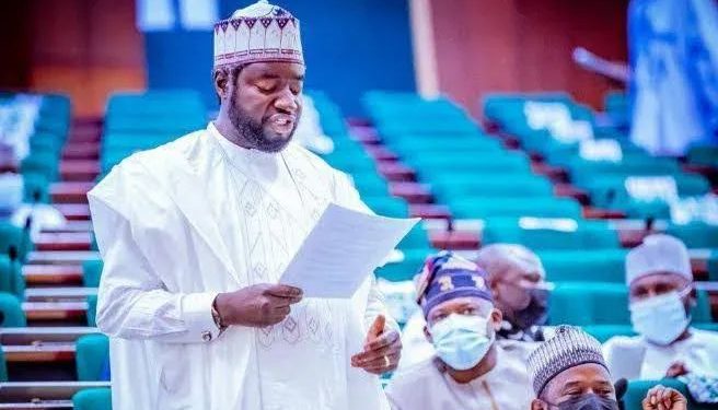JUST IN: Reps Order IG to Produce ‘Fake, Agency DG Adeyemi Within 48 Hours