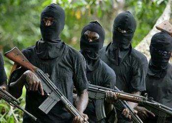 30 Killed in Fresh Kaduna Community Attack