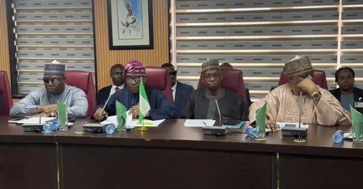 Tinubu Declines Meeting with S’African Envoy, Directs Delegation to Foreign Affairs Minister