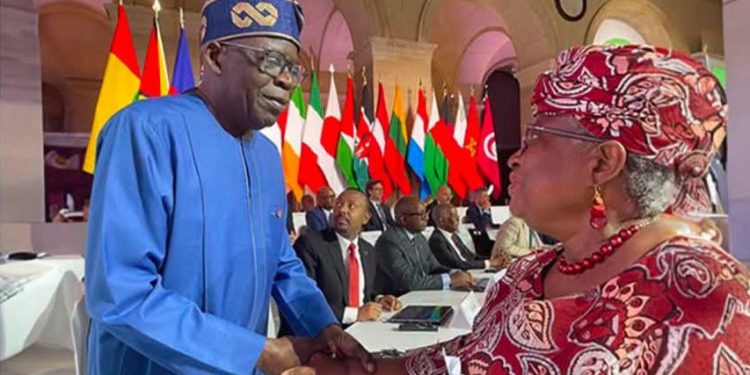 Okonjo-Iweala to Tinubu: Borrow Cautiously, Reforms Should Create Jobs for Nigerians