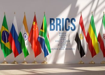 BRICS Countries Adopt Joint Declaration on Disaster Risk Reduction