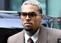 Chris Brown Ordered to Pay Housekeeper $13m After 2020 Dog Attack