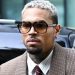 Chris Brown Ordered to Pay Housekeeper $13m After 2020 Dog Attack