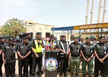 Kano Police Intercept 81 Vehicles Over Plate Number Violations