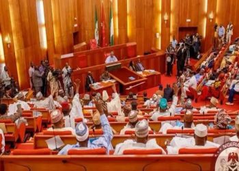 Senate Approves N11.074trn Revenue Target for Customs