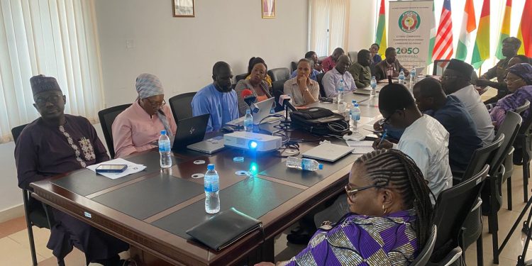 Irregular Migration Plagues West Africa Unabated
