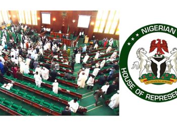 House Doesn’t Need Tinubu’s Presence to Resolve Budget issues — Reps Deputy Spokesperson  ‎