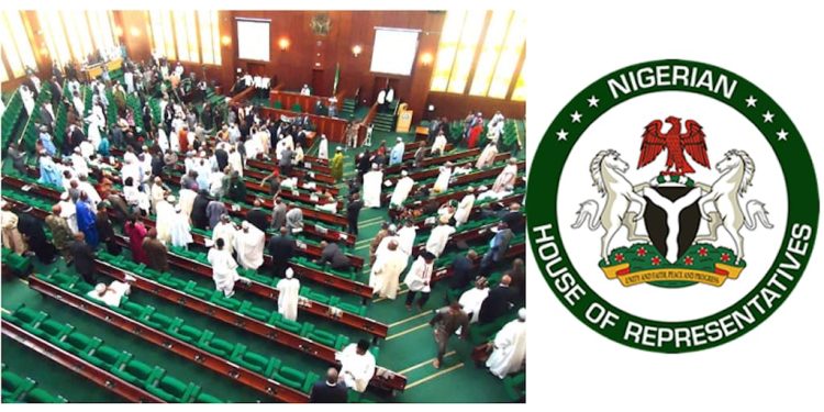 House Doesn’t Need Tinubu’s Presence to Resolve Budget issues — Reps Deputy Spokesperson 