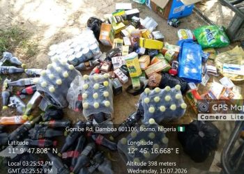 Troops Apprehend Terrorist Informants, Logistics Suppliers in Borno