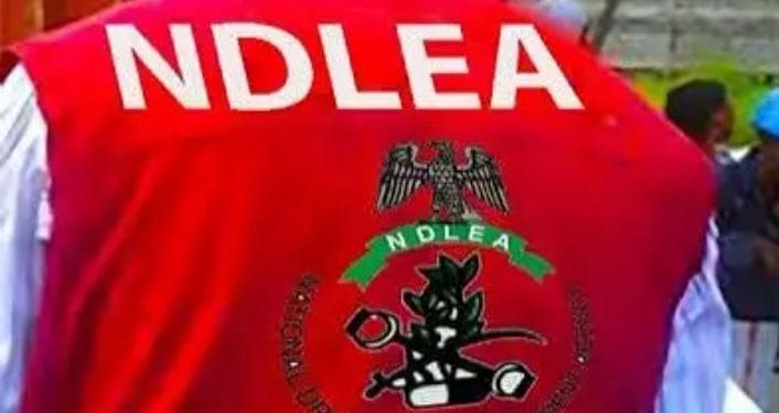 NDLEA Declares Suspected Drug Kingpin, 3 Accomplices Wanted, Freezes N9.8bn 