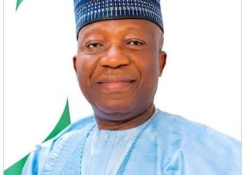 Don’t Abandon Democracy, Join Politics Instead, NILDS DG Tells Nigerian Youths