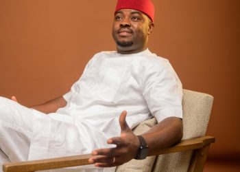 Beyond Remittances: How the Patriotic Nigerian Network Is Redefining Diaspora Engagement for Shared Prosperity