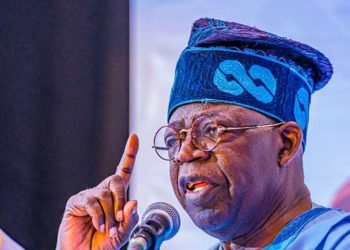2027: North-East Leaders Endorse Tinubu, Pledge Bloc Votes