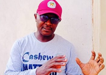 Nigeria Validates Cashew Road Map to Boost Production, Ban Raw Nut Exports at Farm Gate