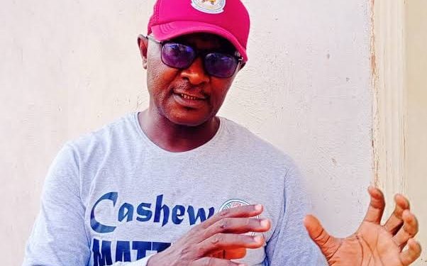Nigeria Validates Cashew Road Map to Boost Production, Ban Raw Nut Exports at Farm Gate