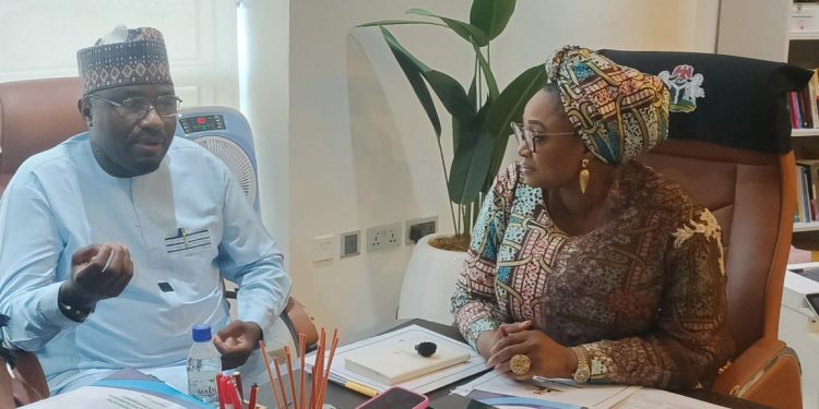 Presidency Targets Women’s Wealth Creation, To End Era Of ‘Career Beneficiaries’