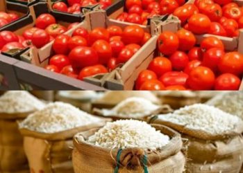 Nigeria May Face Rice, Tomato Scarcity in Next Three Months — OTACCWA ‎