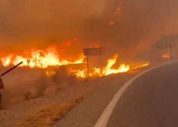 Spain Wildfire Claims 11 Lives, Leaves 19 Missing In Tourist Village