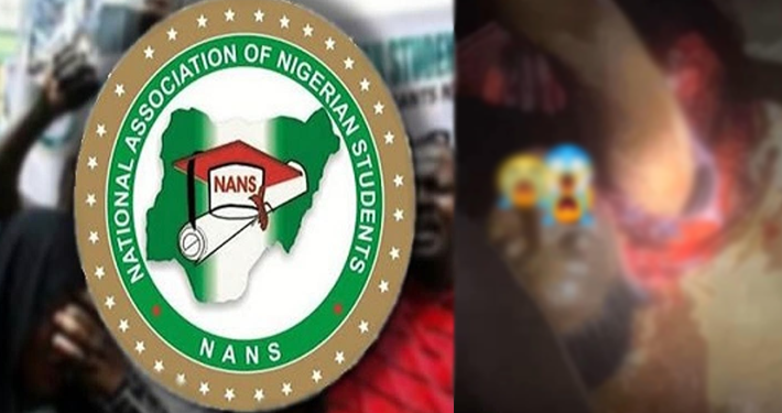 NANS Seeks Justice for Murdered Ogun Polytechnic Student, Plans Peaceful Protest