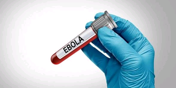 DRC, Partners Establish Largest Ebola Treatment Facility as Outbreak Worsens