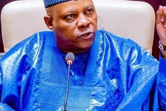 Shettima Bars Well-wishers from Public Congratulatory Messages, Advert Placements on 60th Birthday