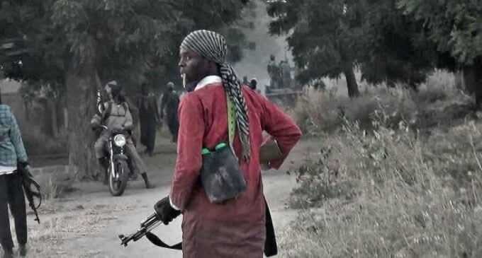 Report: Bandits, Boko Haram, ISWAP Killed 1,932 People in Borno, Adamawa, Yobe in Three Months